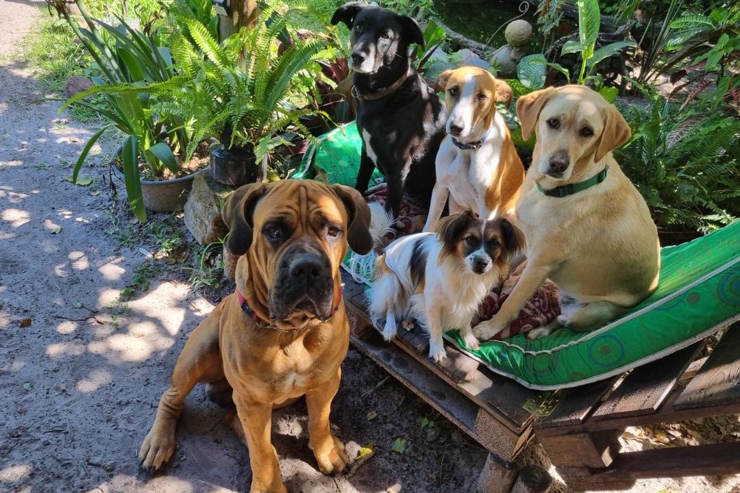 Photo of Others in Sodwana Bay