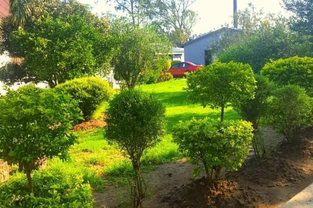 Photo of Outdoor in Dundee