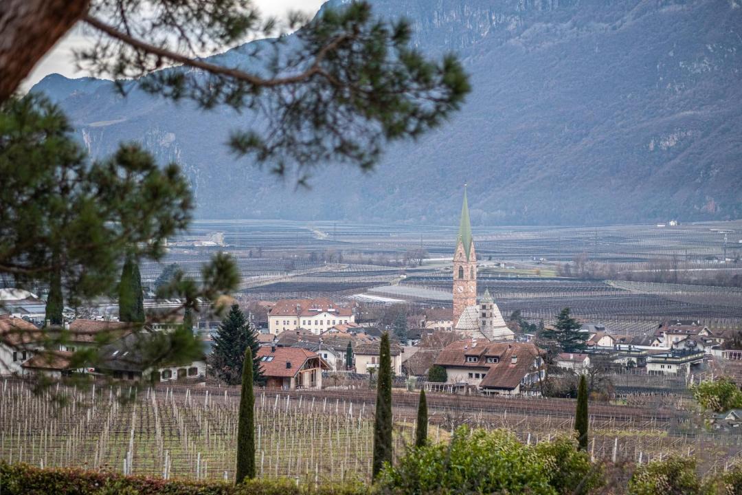 Photo of Others in Terlano