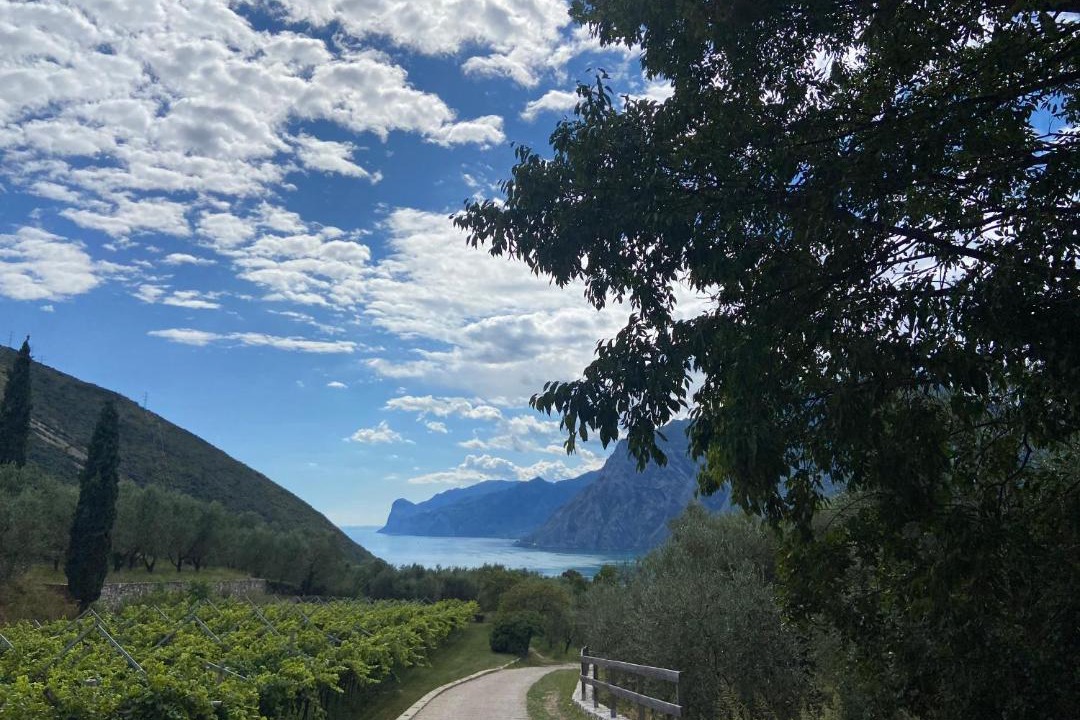 Photo of Others in Nago-Torbole