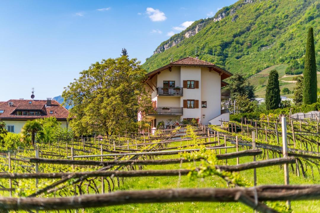 Photo of Others in Tramin