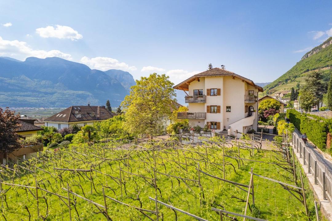 Photo of Others in Tramin