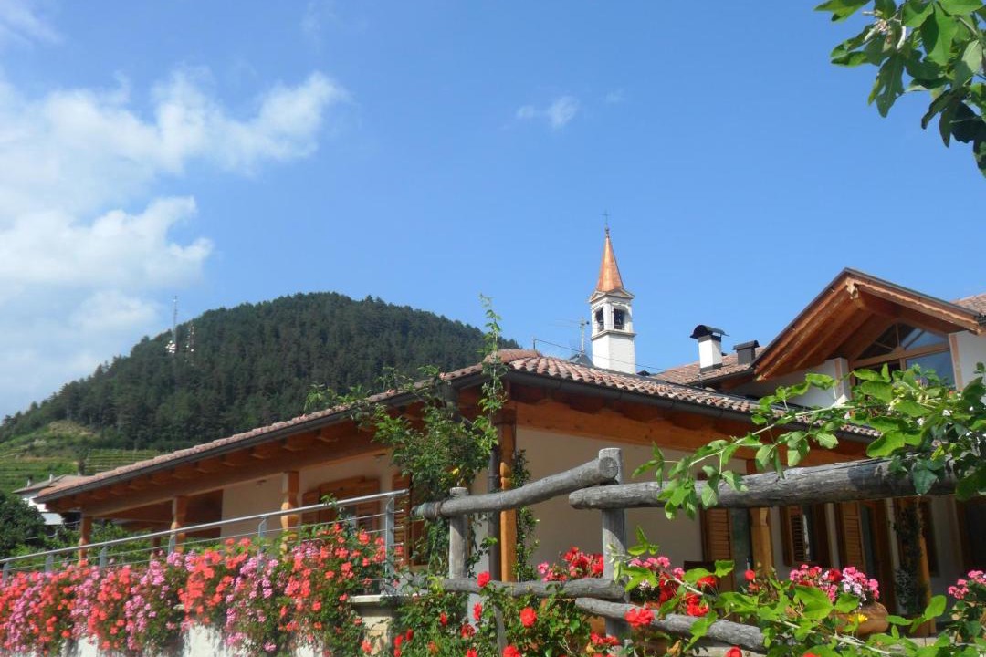 Photo of Others in Faedo