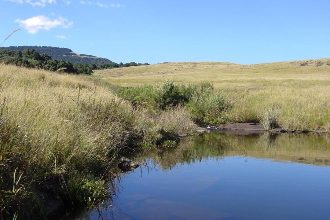 Photo of Others in Karkloof Nature Reserve