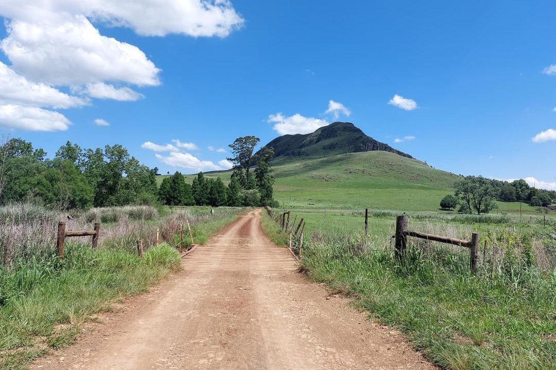 Photo of Others in Karkloof Nature Reserve