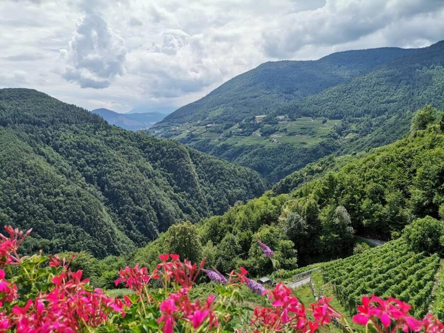 Photo of Outdoor in Valda