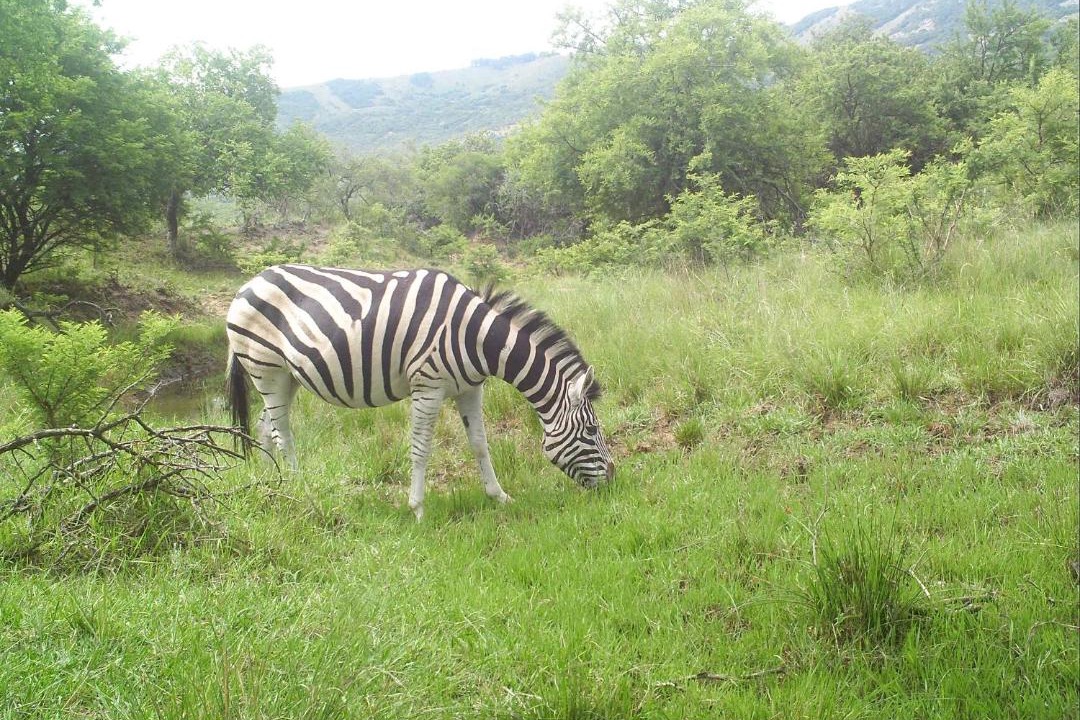 Photo of Others in Elandskraal