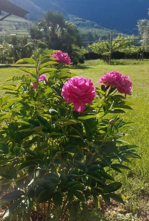 Photo of Outdoor in Ala