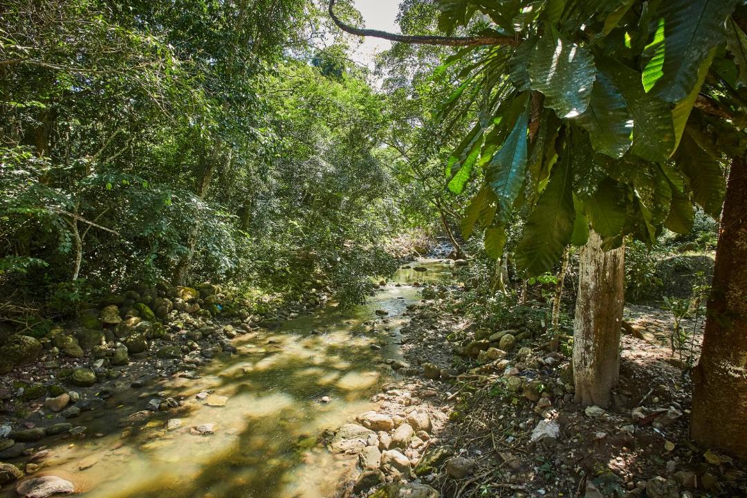 Photo of Others in Tarapoto