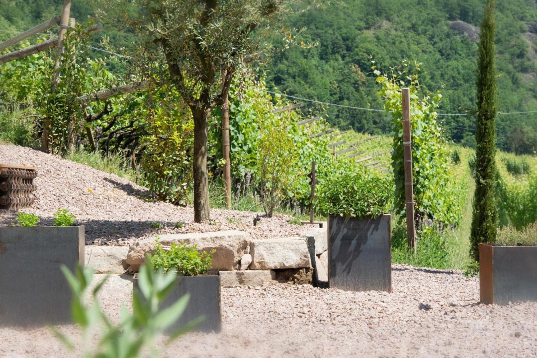 Photo of Others in Termeno Sulla Strada del Vino