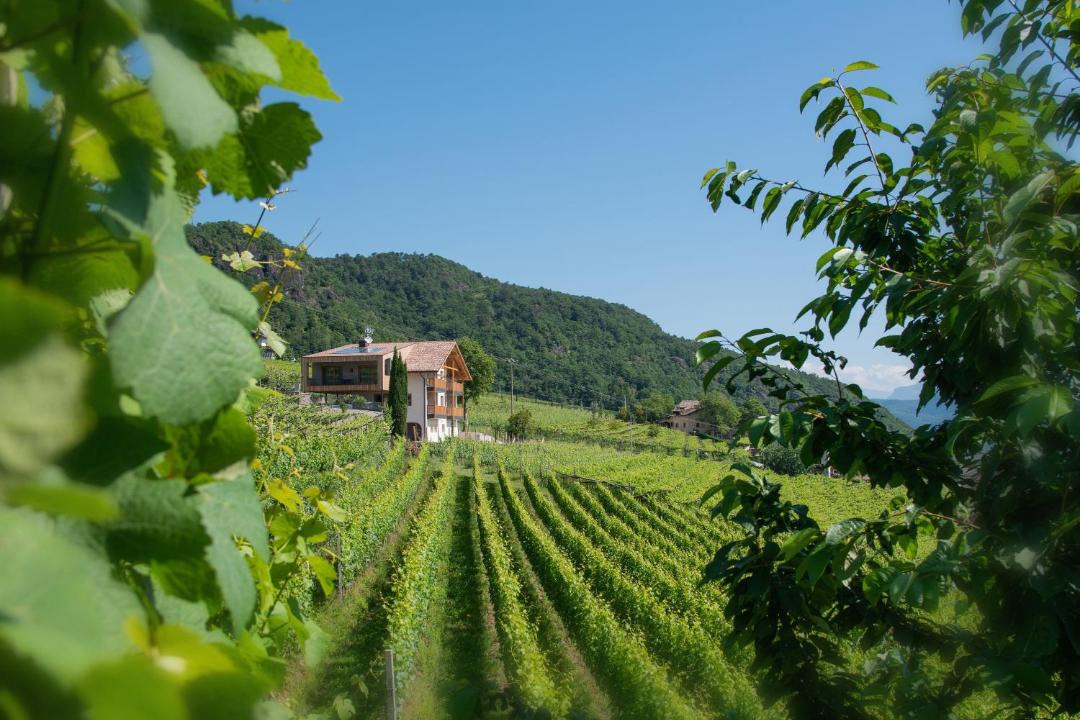 Photo of Others in Termeno Sulla Strada del Vino