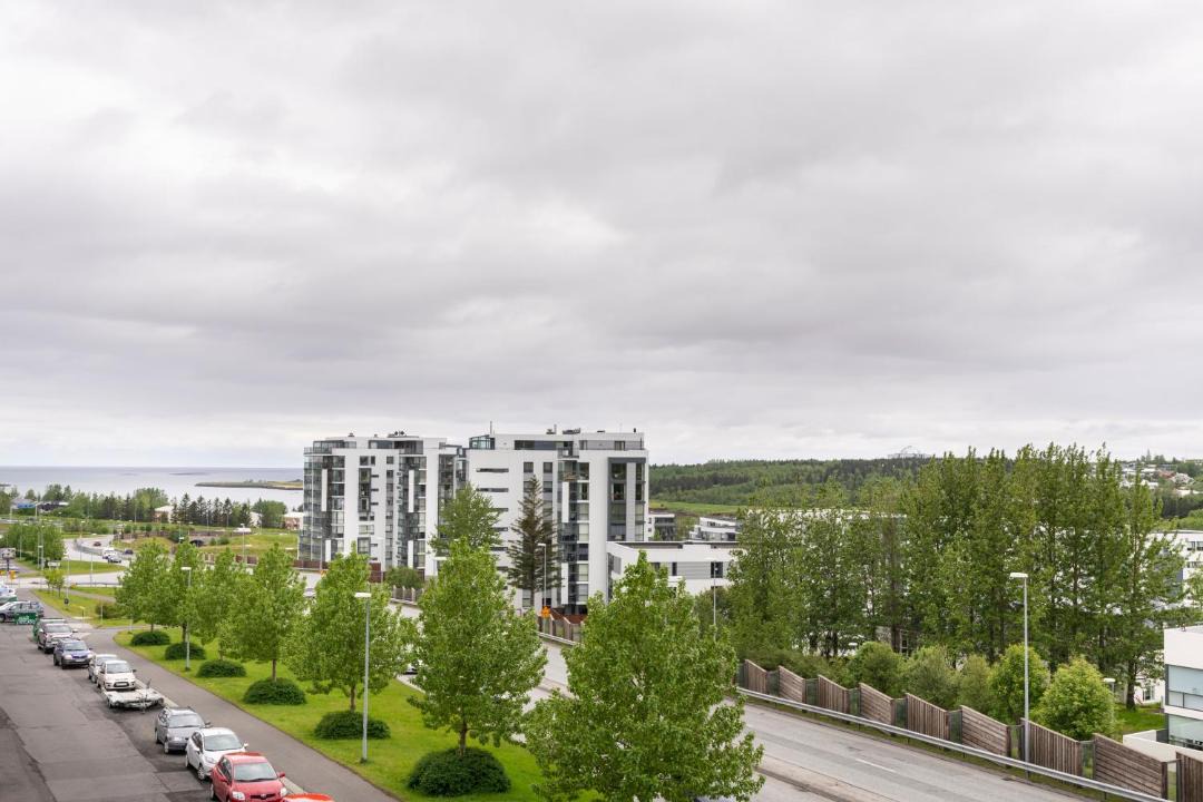 Photo of Others in Reykjavik