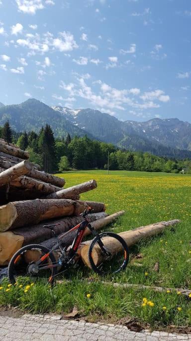 Photo of Others in Borgo Valsugana