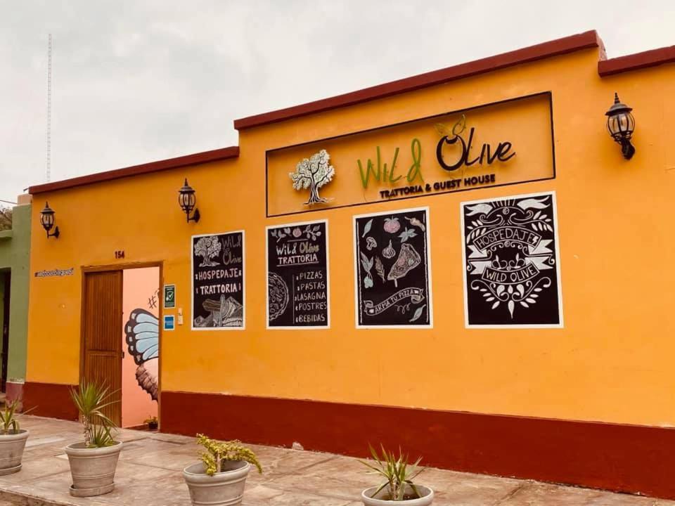 Photo of Others in Huacachina