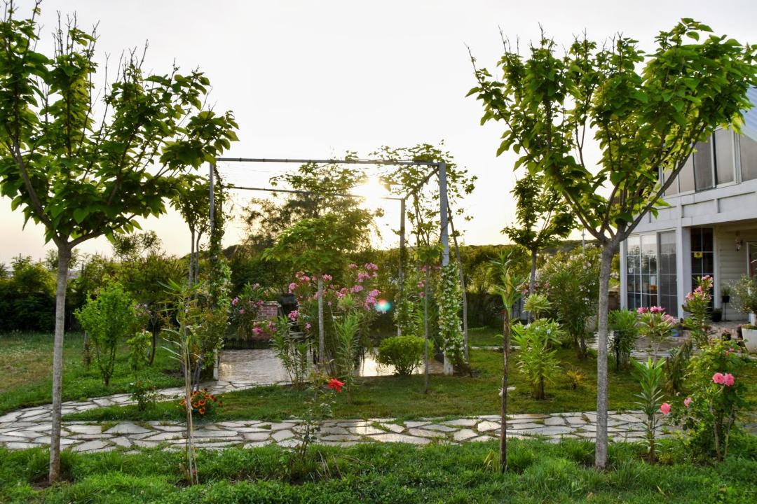 Photo of Others in Velipoje