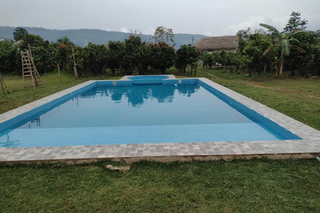 Photo of Outdoor in Sauce