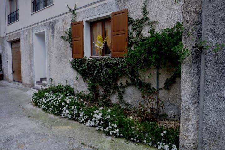 Photo of Others in Lasino