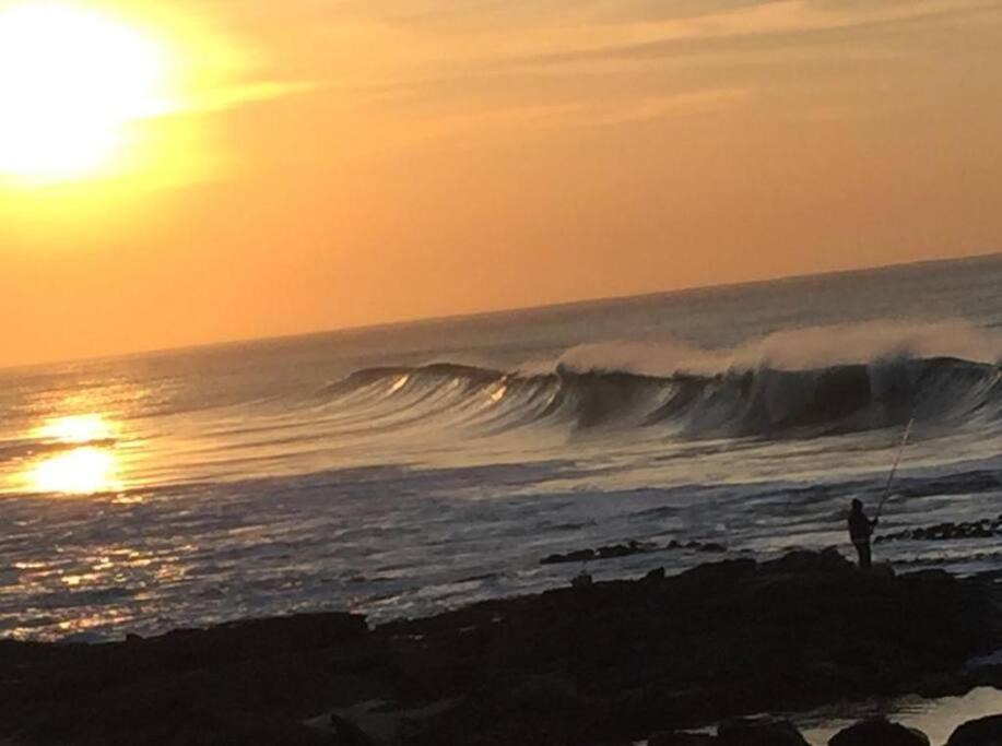 Photo of Others in Oslo Beach