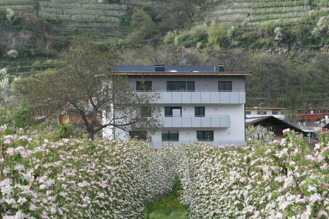 Photo of Buildings in Silandro