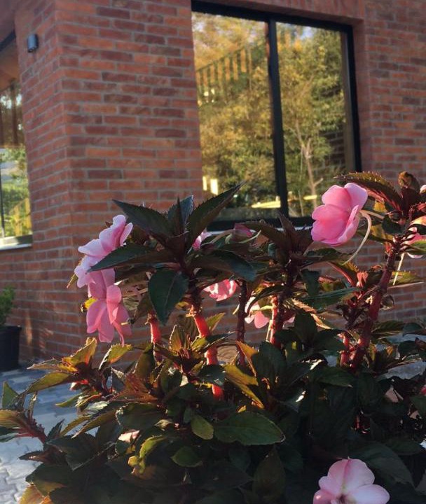 Photo of Others in Shkoder County