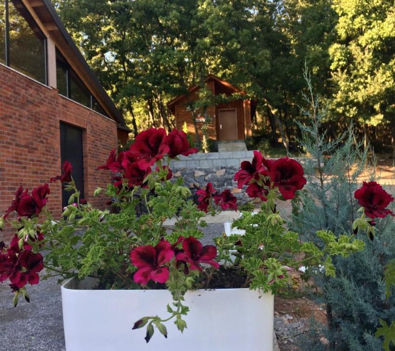 Photo of Others in Shkoder County