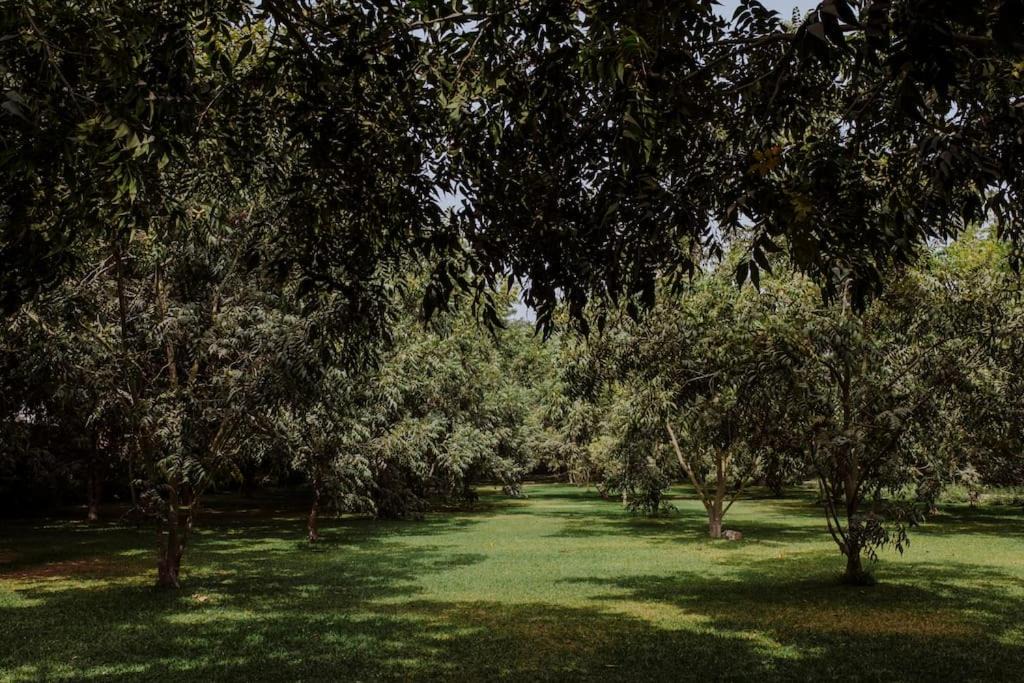 Photo of Outdoor in Cieneguilla