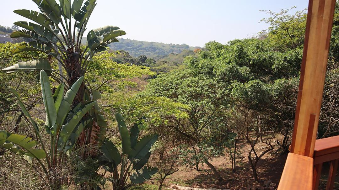 Photo of Others in Kloof