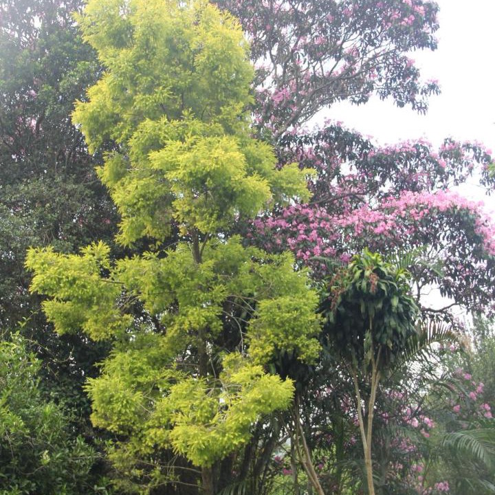 Photo of Others in Kloof
