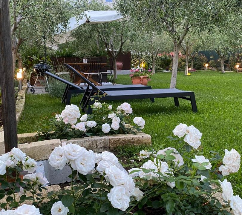 Photo of Others in Torbole sul Garda
