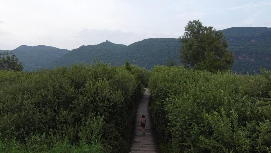 Photo of Others in Caldaro Sulla Strada del Vino