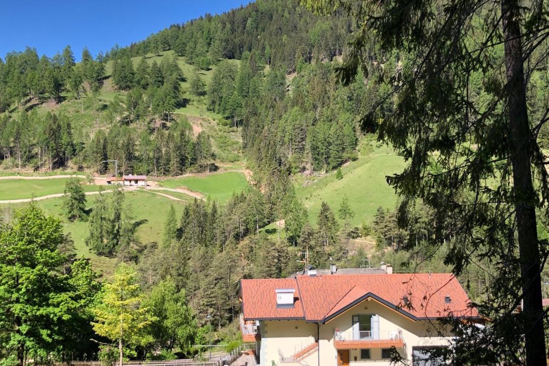 Photo of Others in Stava