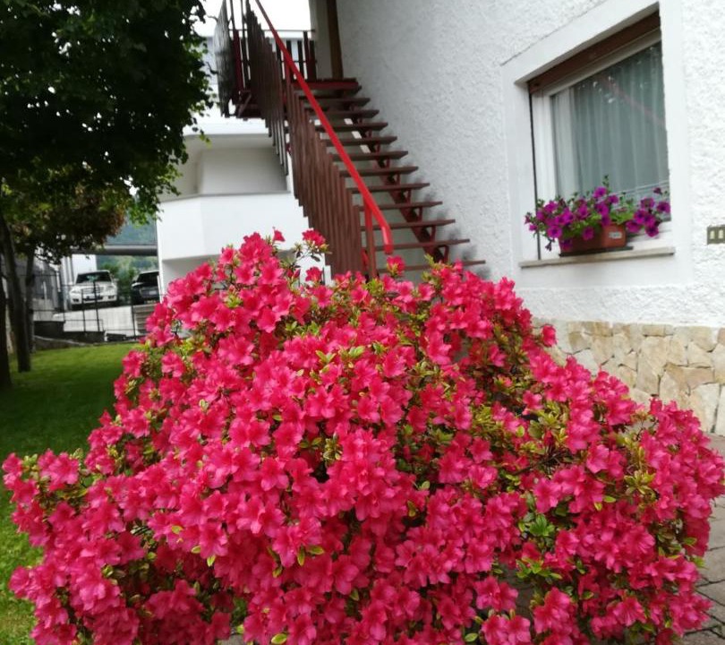 Photo of Others in Pergine Valsugana