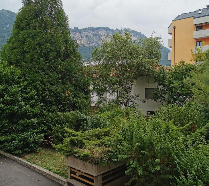 Photo of Others in Trento