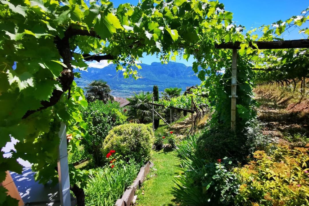 Photo of Others in Tramin