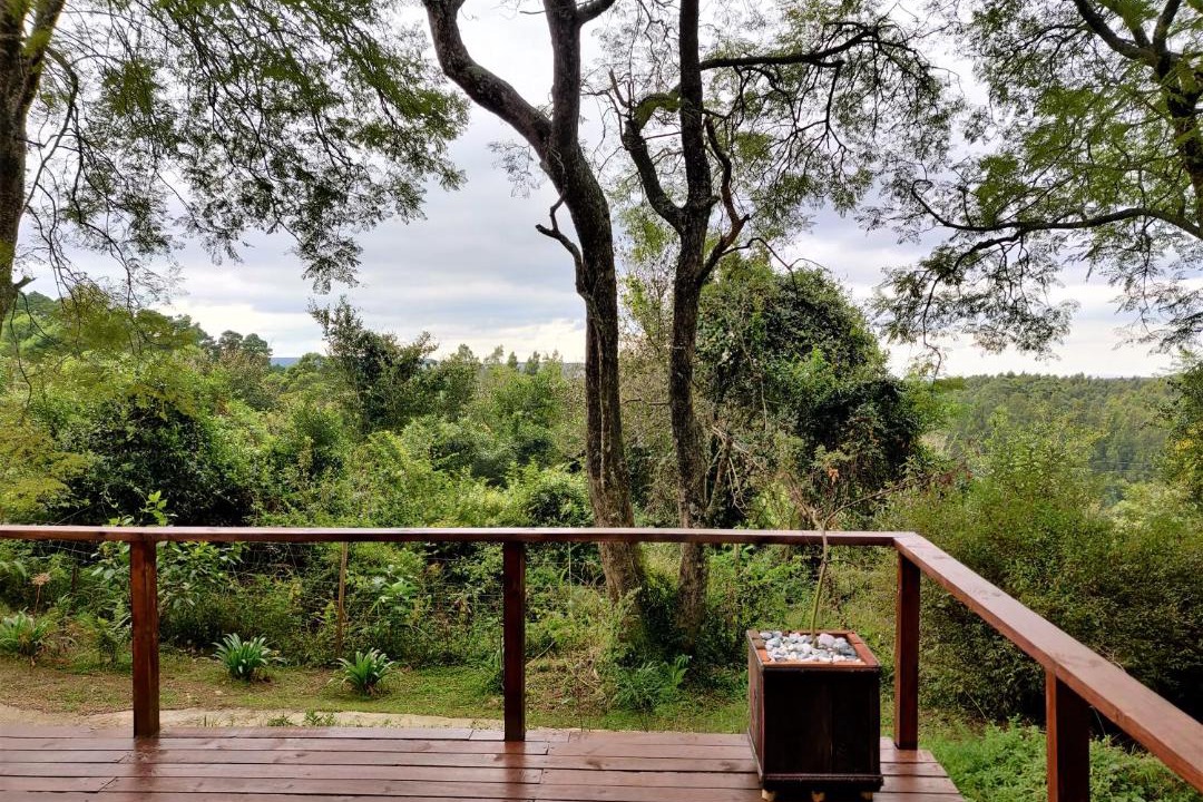 Photo of Others in Karkloof Nature Reserve