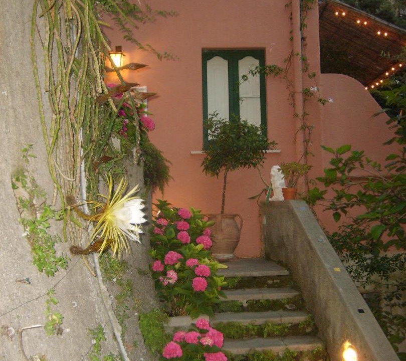 Photo of Others in Positano City Centre