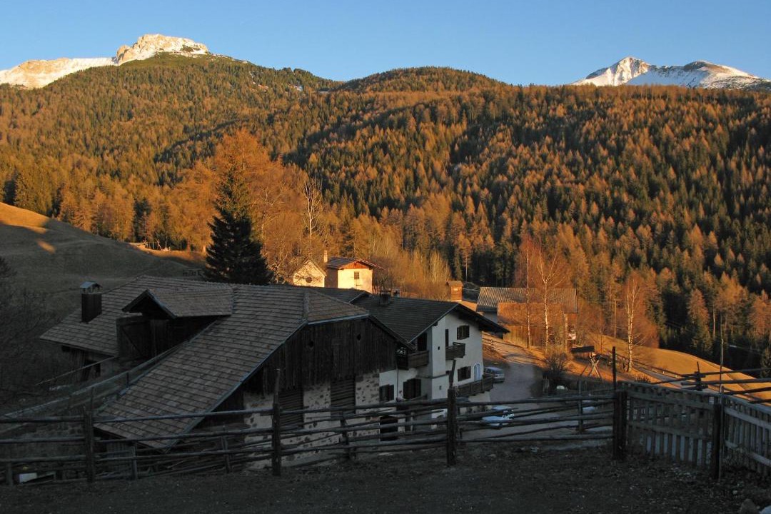 Photo of Others in Redagno