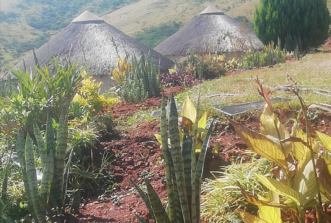 Photo of Others in Nkandla