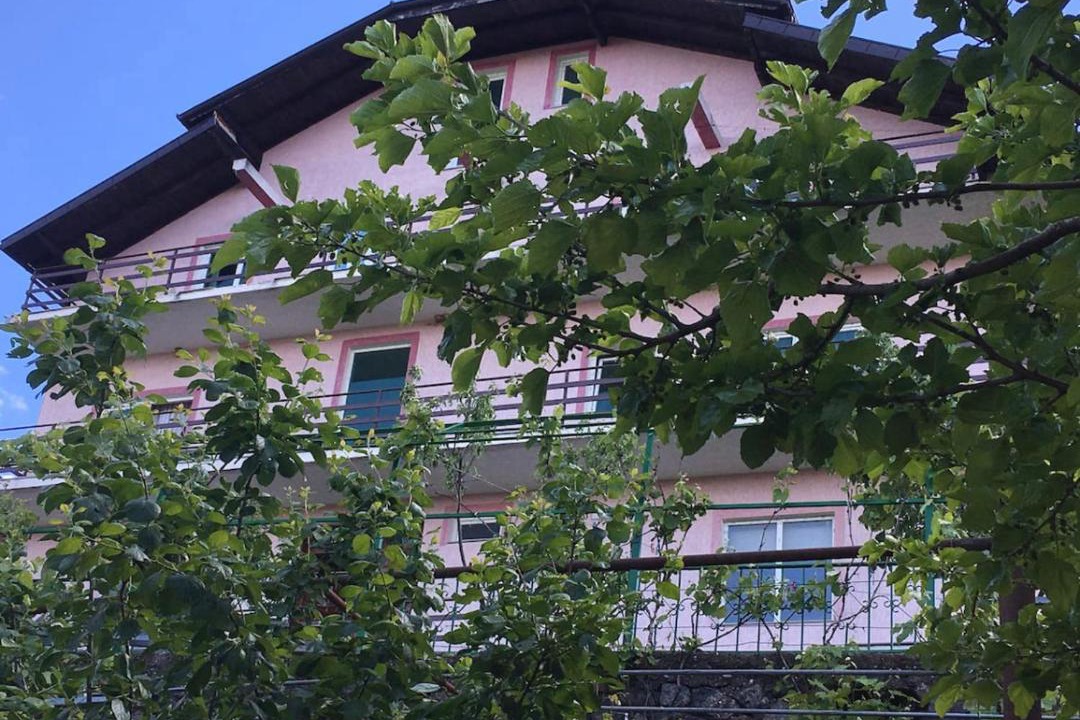 Photo of Others in Puke