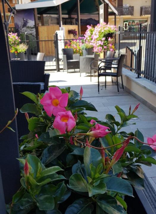 Photo of Patio Balcony in Pinzolo
