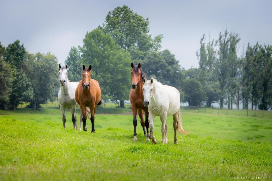 Photo of Others in Mooirivier