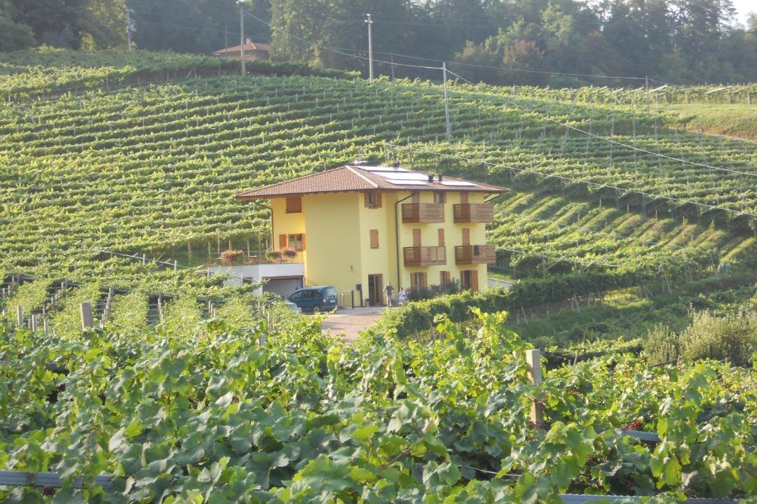 Photo of Others in Martignano