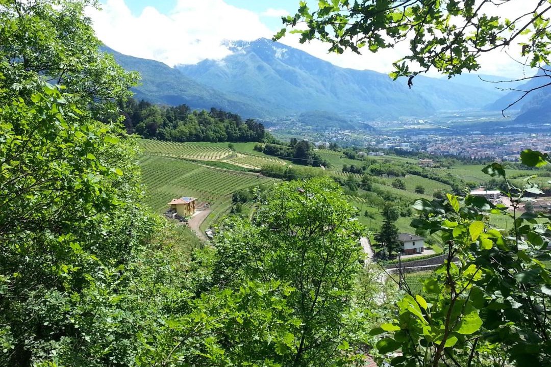 Photo of Others in Martignano