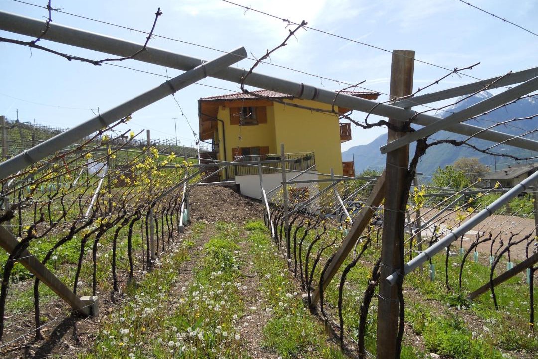 Photo of Others in Martignano