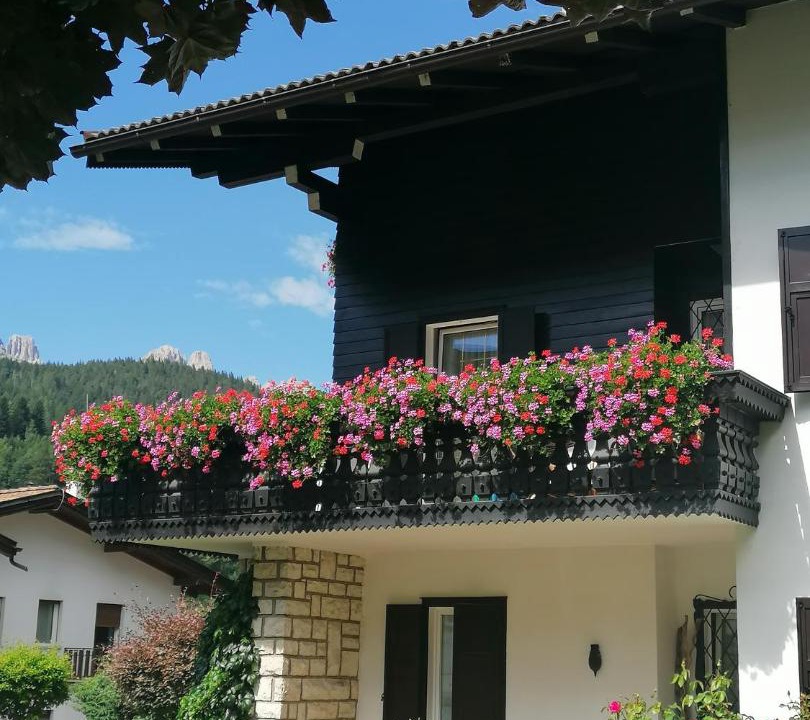 Photo of Buildings in Moena