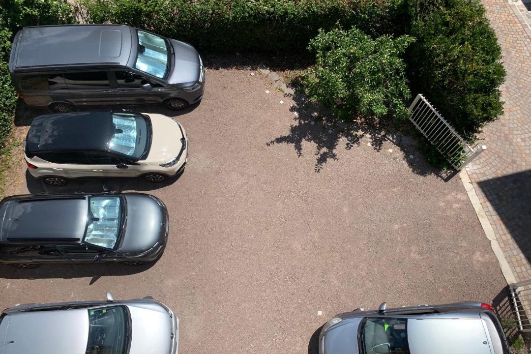 Photo of Others in Baselga di Pine