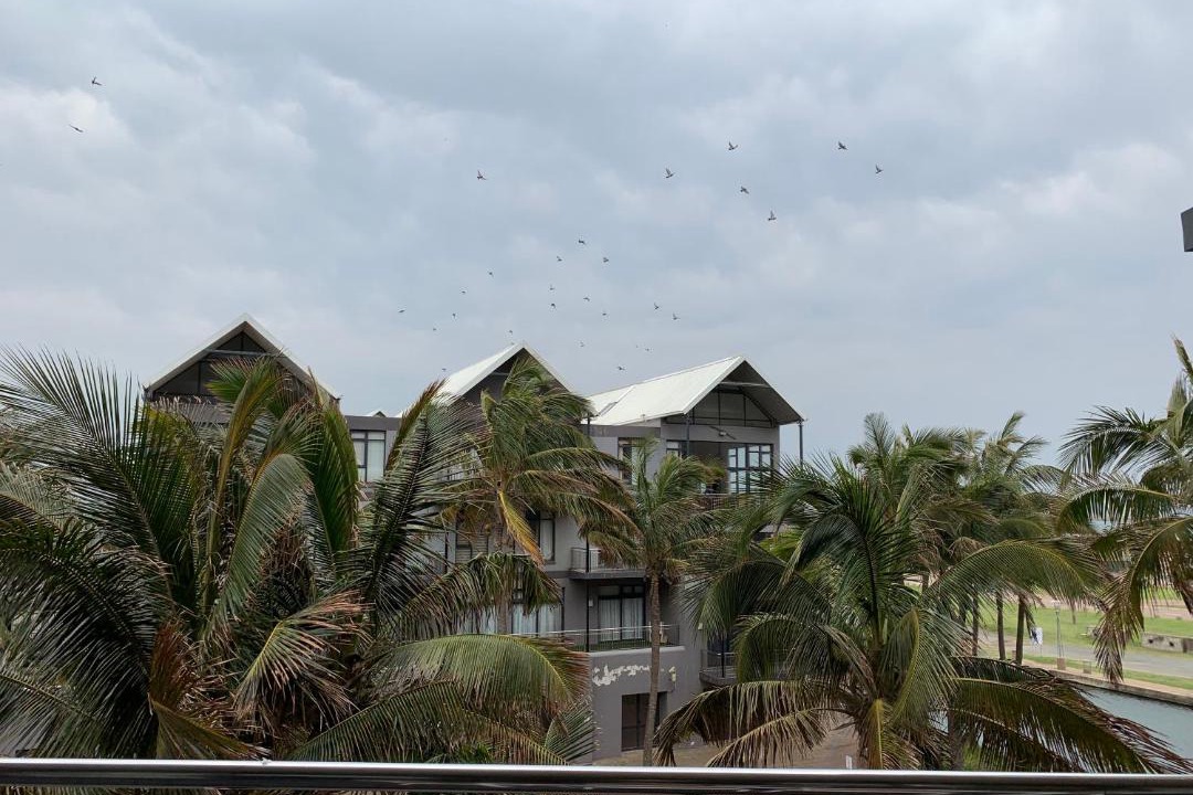 Photo of Others in Durban Point