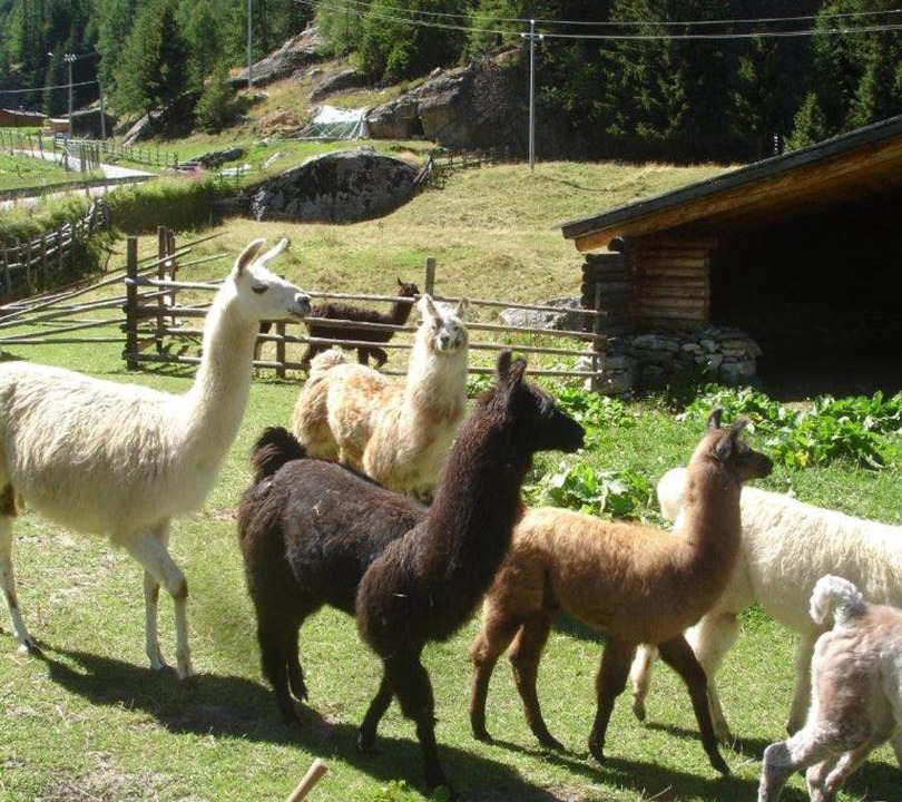 Photo of Others in Meiern