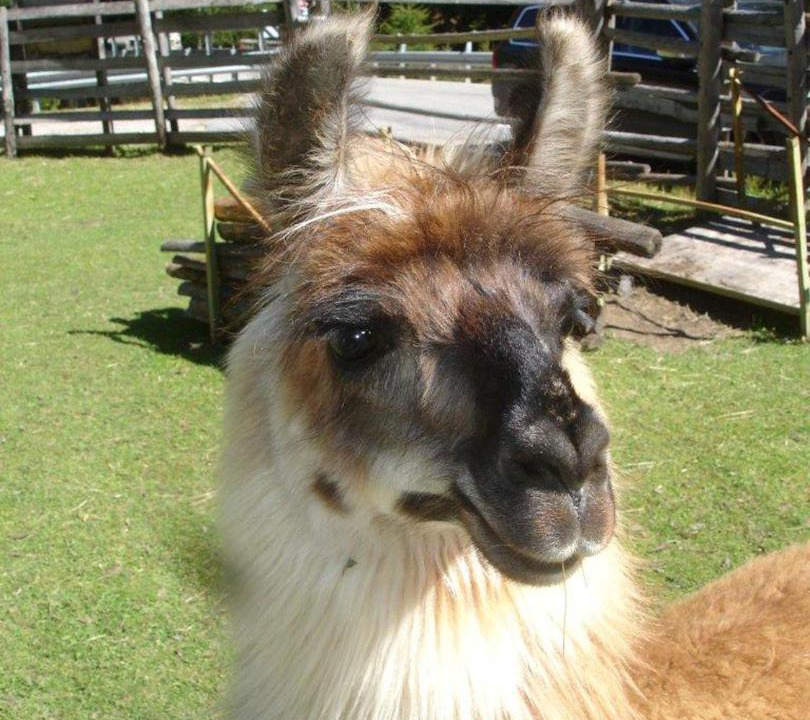 Photo of Others in Meiern