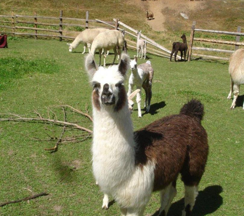 Photo of Others in Meiern